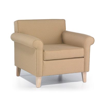 arm chair with cushions