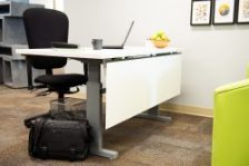 2019-Ergonomic Adjustable Desks- Alteco with Modesty (5)